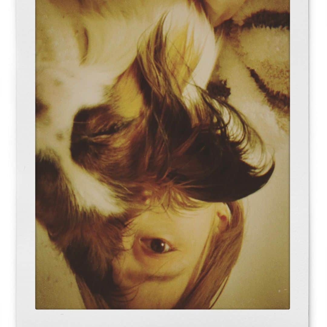 茜屋日海夏さんのインスタグラム写真 - (茜屋日海夏Instagram)「🐶💓  #애견 #애견스타그램 #dog #dogstagram #いぬすたぐらむ #いぬのいる暮らし #パピヨン #パピヨン大好き #あられ」2月6日 0時33分 - himika_akaneya_official