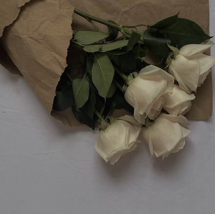 Mara Teigenのインスタグラム：「Friday’s are for flowers 🤍」
