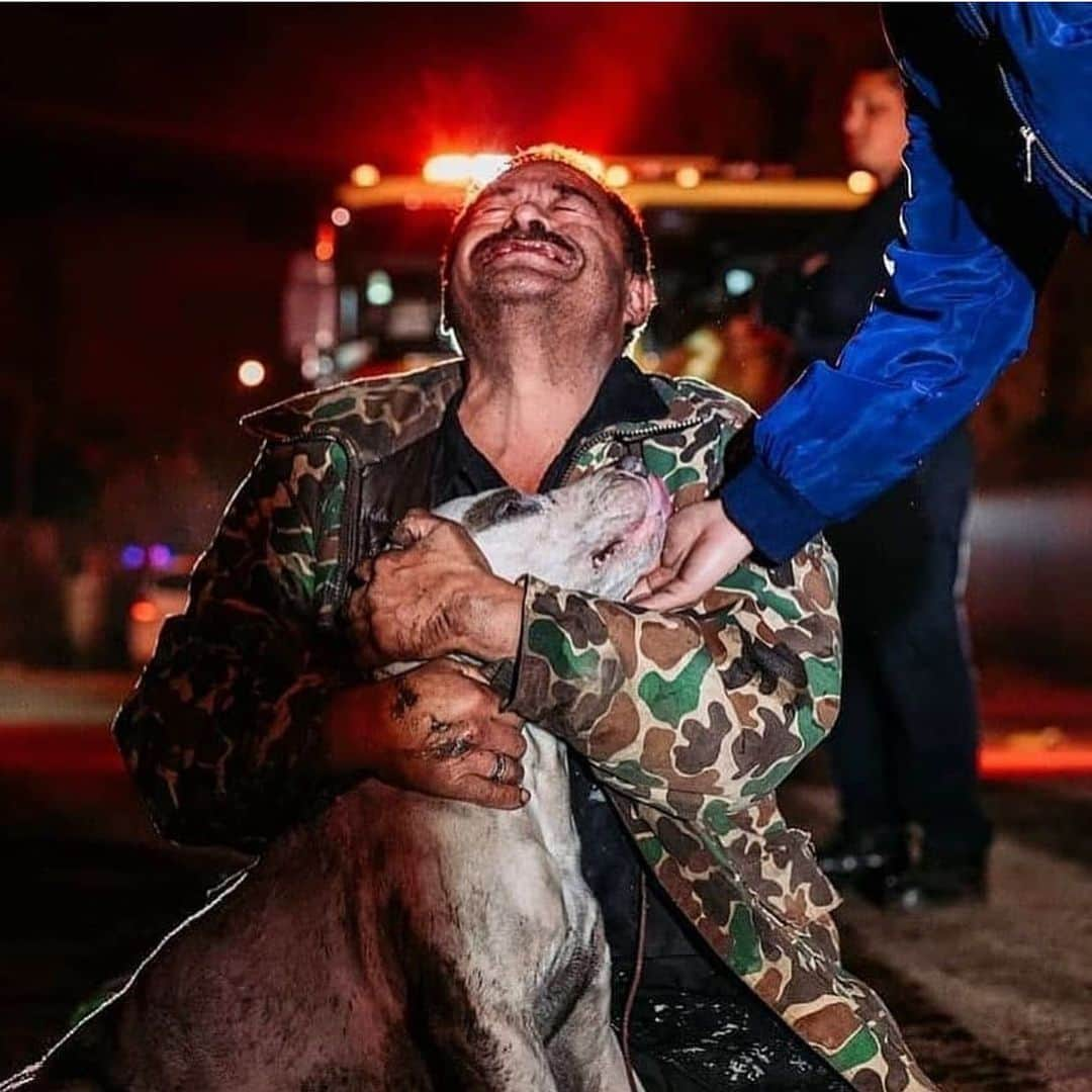 Black Jaguar-White Tiger さんのインスタグラム写真 - (Black Jaguar-White Tiger Instagram)「A super sad picture. But finally a Human  that’s equally as good as all Dogs. He lost his house and his belongings in a fire but all he cared about was his Beloved Dog. Father: Please mend his Heart. I beg you... #BeHuman」2月6日 1時43分 - blackjaguarwhitetiger