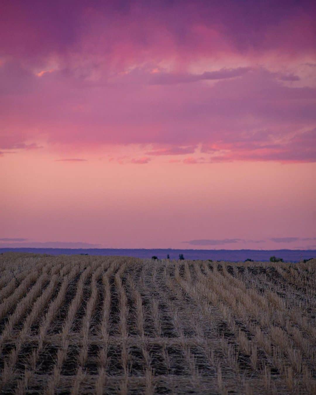 instagoodのインスタグラム：「@coloradoconorr Sunset over Fort Collins Colorado. 🍬」