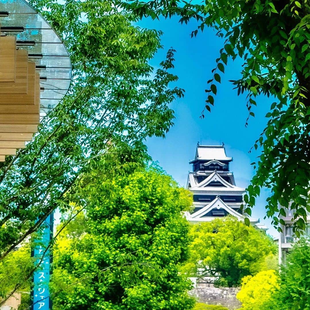 熊本城のインスタグラム：「熊本城フォトコンテスト2020上期入賞6作品です。 3月にわくわく座で年間グランプリ決定戦をおこないます。 #kumamoto #japan #japantrip #instagood #instagram #kumamotocastle #熊本 #日本 #熊本城 #加藤清正 #日本100名城」
