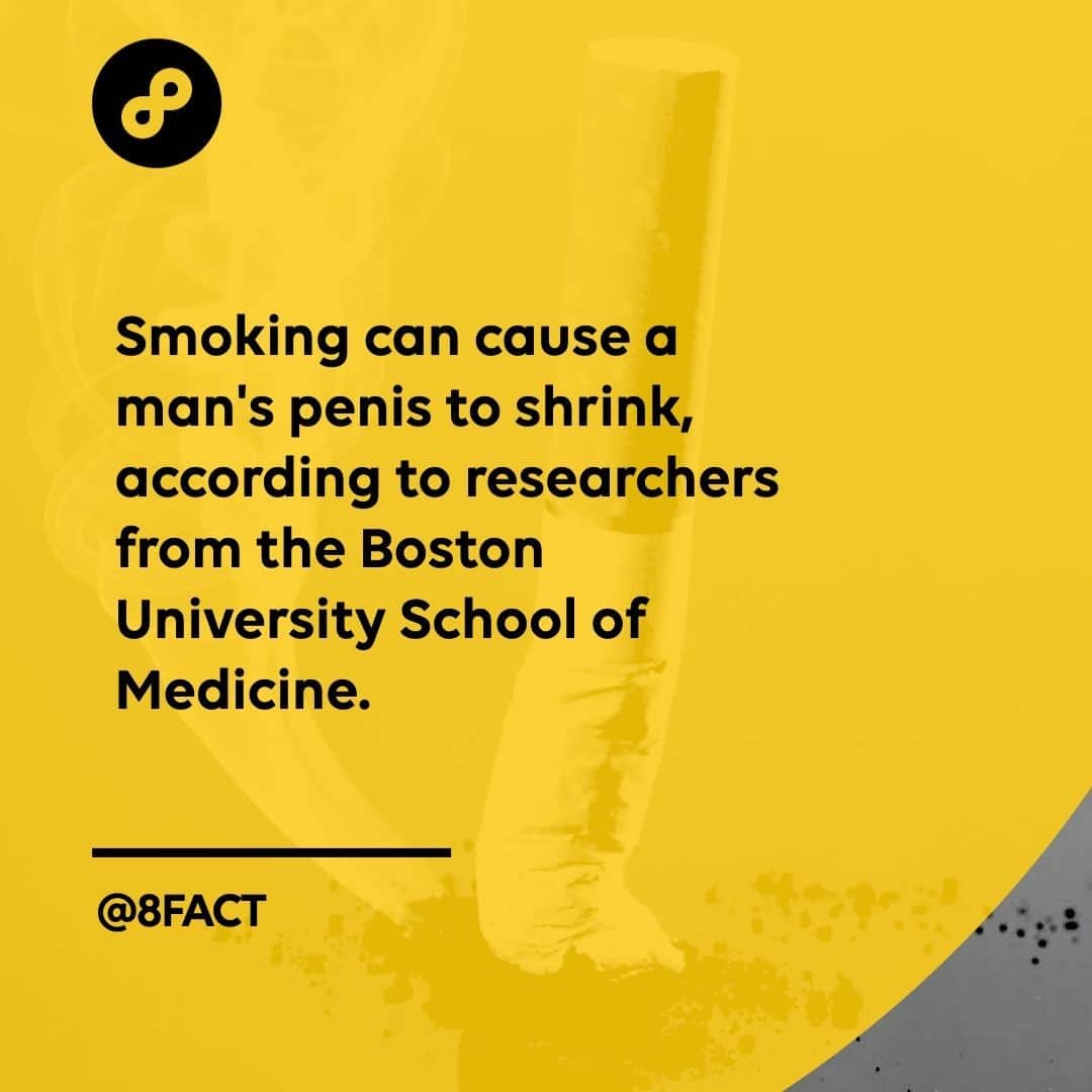 さんのインスタグラム写真 - (Instagram)「Researchers believe this is because smoking inhibits blood flow, preventing the penis from stretching, which might reduce penis length.」2月6日 12時33分 - 8fact