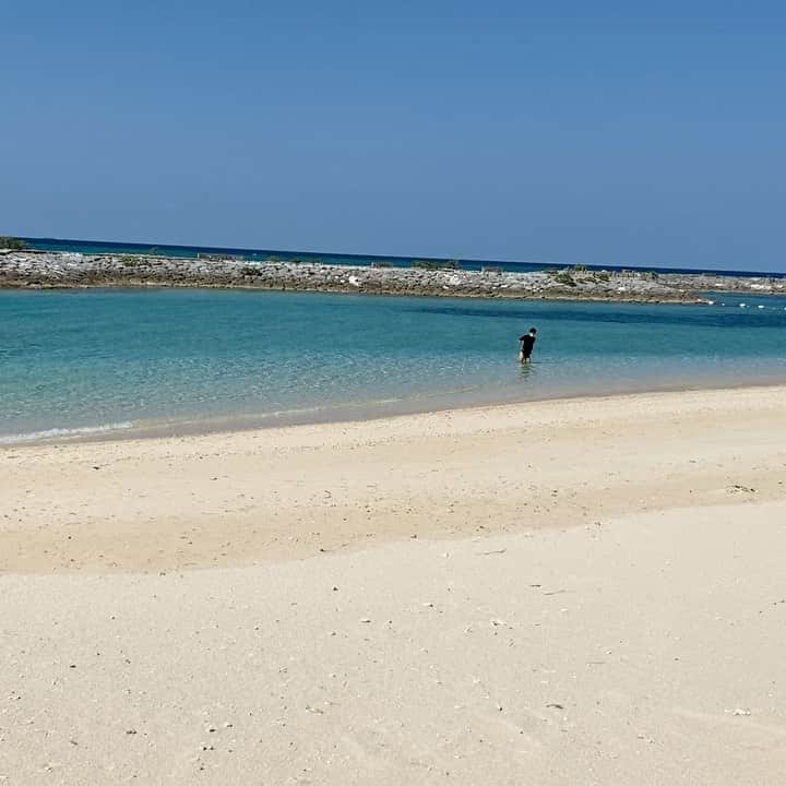 長谷川竜也のインスタグラム：「海を見てたら羽休めしに鳥が来た。 #本人は納得いかず #あんま完成度高くなかったな #と呟いていました @kobayashiyu11」