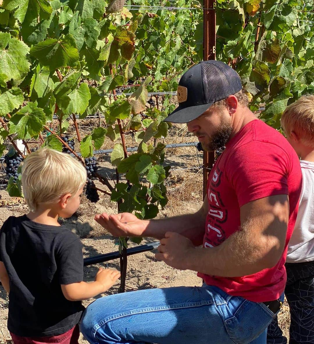 マックス・シエリオットさんのインスタグラム写真 - (マックス・シエリオットInstagram)「Couple shots from the vineyard in honor of @senseswines release this Tuesday! #sonomacoast #sonomacounty #thieriotbodega #flashbackfriday #fbf #senseswines #pinotnoir #winelover」2月6日 4時24分 - maxthieriot