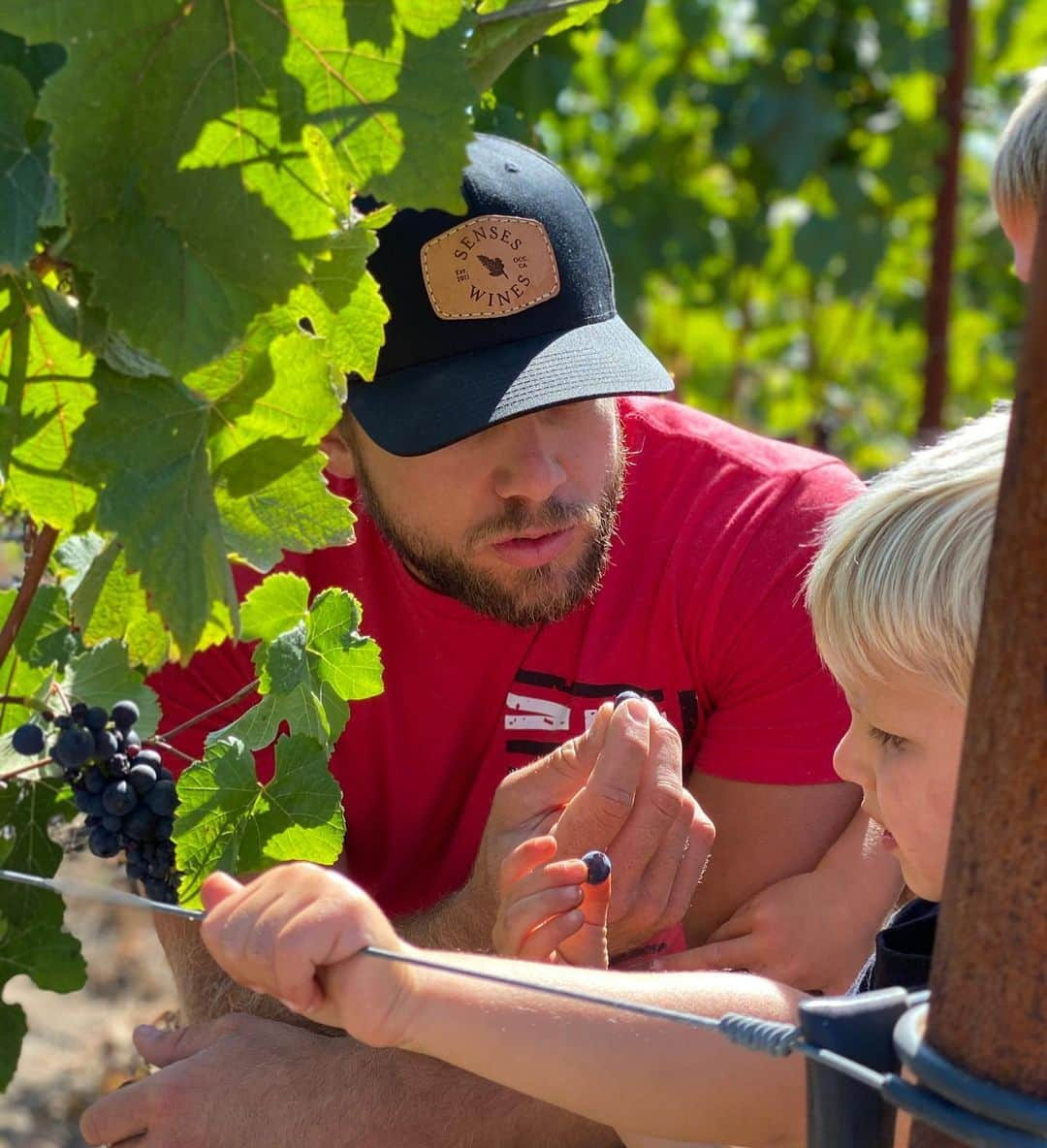 マックス・シエリオットのインスタグラム：「Couple shots from the vineyard in honor of @senseswines release this Tuesday! #sonomacoast #sonomacounty #thieriotbodega #flashbackfriday #fbf #senseswines #pinotnoir #winelover」