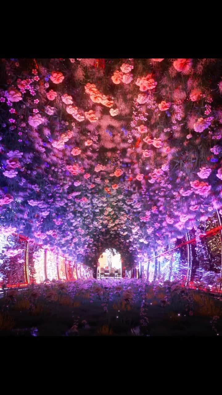 Palms Casino Resortのインスタグラム：「🌸 CRIMSON IN BLOOM! Coming feb-12 only at @redrockcasino 🌺」