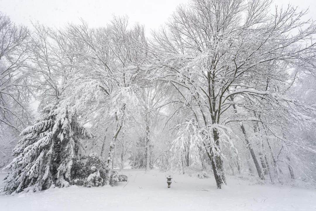 Michael Yamashitaのインスタグラム：「View from my window: Snow Country, Chester New Jersey. This morning’s fresh coating of snow adds to Monday nor’easters record breaking 30 inches. #chesternj  #newjerseyphotography #jersey #ilovechesternj」