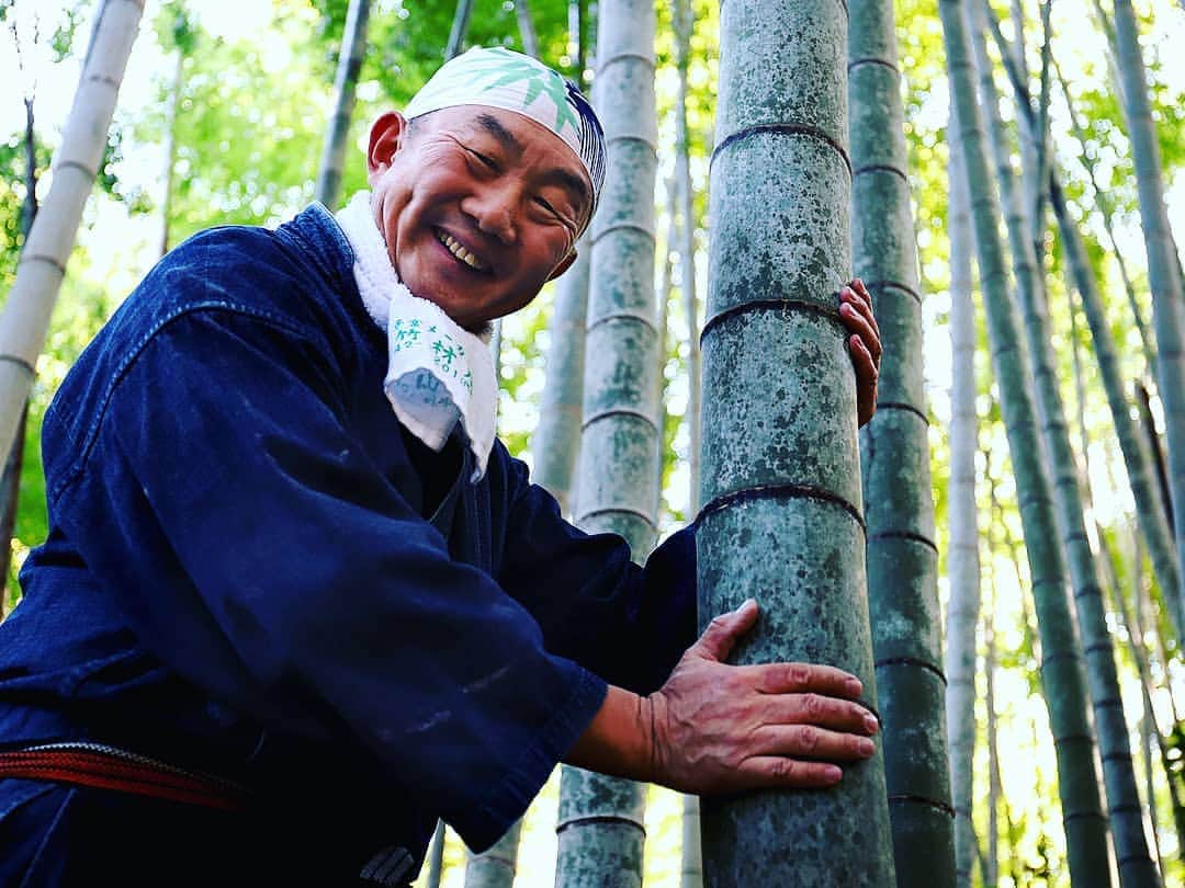 竹虎さんのインスタグラム写真 - (竹虎Instagram)「孟宗竹（モウソウチク）はもともとは中国原産で、雪の寒い日に年老いた母親のために筍を掘りにいった孟宗という人物にちなんで付けられた名前の竹。 . 中国から江戸時代に日本に入ってきた竹で最初に植えられたのが京都という説と鹿児島説との二つある。 . 竹の花が咲くのは60年から120年に一度とも言われ人手を介しないと広がらないので、昔から日本にあったかのように全国津々浦々に生えている孟宗竹は、当時より珍重され竹細工以外にも建築資材や農業・漁業資材としても日本人の暮らしに役立ってきたというのが伺える。 . #竹虎 #虎斑竹専門店竹虎 #山岸竹材店 #竹虎四代目 #TAKETORA  #竹屋 #竹製品 #竹細工 #竹工芸 #竹 #bamboo #bamboocraft #虎竹 #真竹 #青竹 #淡竹 #白竹 #晒竹 #孟宗竹 #職人 #国産 #日本製  #日々の暮らし #暮らし #竹のある暮らし #ナチュラル #笑顔 #楽しい #ナチュラル #自然」2月6日 6時45分 - taketora1894
