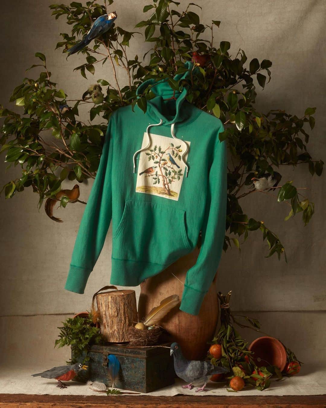 のインスタグラム：「Titmouse Hoodie in Green from our new Todd Snyder + John Derian Capsule Collection 💚 🌺 Now available online & in store ⏫ Tap link in bio to learn more & shop ⏫ . . . Photographer - Donna Viering / @Donnamaev Set Director - Tracy Morgan / @Tracymorganartist  Soft goods stylist - Desiree Guery / @desireeguery #toddsnyder #justdropped #TSxJohnDerian」