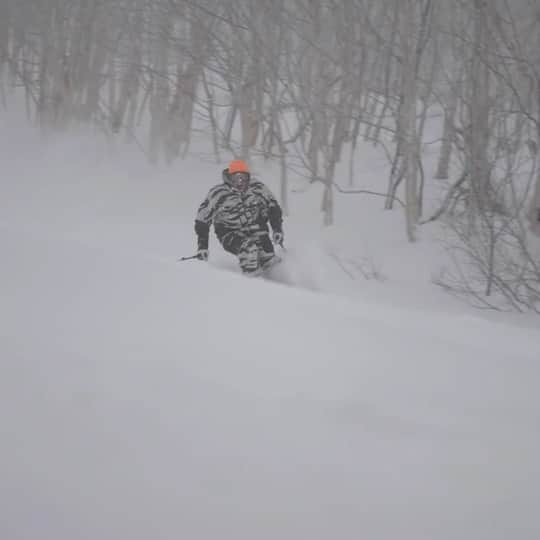 佐々木明のインスタグラム：「【Hokkaido quality】 Nowadays, powder is often enjoyed in the backcountry, but the beauty of Hokkaido is that there are over 90 ski resorts on this vast island alone!  You can often have full days of powder on these slopes; from early morning till night.  After soaking up the good snow, we ate a great Japanese style meal and headed back to the slopes.  Hokkaido is a miracle island to have slopes with no tracks and good quality snow from morning till night like this.  That’s Hokkaido quality. I’m lucky to be born in Hokkaido🤞  Share your memories of Hokkaido🤙🏽  バックカントリーでパウダーというのが今の時代では一般的なパウダーを楽しむ方法だけど、北海道の良さは広大な地に90箇所以上ものスキー場があると言うところ。  ゲレンデで早朝からナイターまでずっとパウダーなんて日もたくさんあります。  良い雪を身体いっぱいに浴びて、美味しい日本らしい食事をしまたゲレンデへ戻っていく。  ゲレンデで上質な雪のノートラックを朝からナイターまでなんて奇跡の島だと思います。  北海道クオリティ 北海道に生まれてラッキーです🤞  あなたが愛する北海道をシェアしよう✌🏽  📍Location at #hoshinoresorts  #tomamu  #hokkaidolove #japowhokkaido #hokkaidoskiing  #shareyourmemoriesofhokkaido  1•🎥 @kazu_morishima  2&3📸 @keyphoto  4•Sea urchin SUSHI 🍣 lunch 5•Soft ice cream 🍦  Hokkaipow waiting u guys🤞 World class racing pow hunters  @julienlizeroux @jbgrange @loicmeillard @mattiashargin @daronrahlves @millerbode @ted_ligety」
