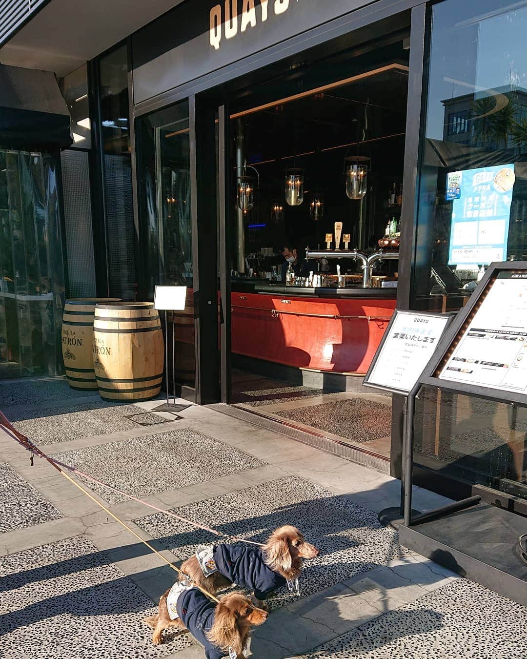 くるみんのインスタグラム：「* 1月4日 お初のハンマーヘッドをウロウロ レストランのテラス席はペットOKのお店もいくつかありました🍴  我が家もランチをするためにコチラのお店へ ②15時近くだったから、周りには人も居なくて安心して食事できました。  #ミニチュアダックスフンド #ミニチュアダックスフント #ミニチュアダックス #イザベラタン #イザベラ #カニンヘンダックスフント #カニンヘン #カニンヘンダックス #カニンヘンダックスフンドの日常 #カニンヘンの会 #カニンヘンダックスフンド #チョコタンダックスフント #チョコタンダックスフンド #チョコタンダックス #チョコタン #ダックスlove #ダックス多頭飼い #ダックスフント #ダックスフンドカニンヘン #ダックス部 #ダックス大好き #ダックスフンド #ダックス #いぬばか部 #いぬすたぐらむ #短足部 #ハンマーヘッド #hammerhead #quays #ワンコokカフェ」