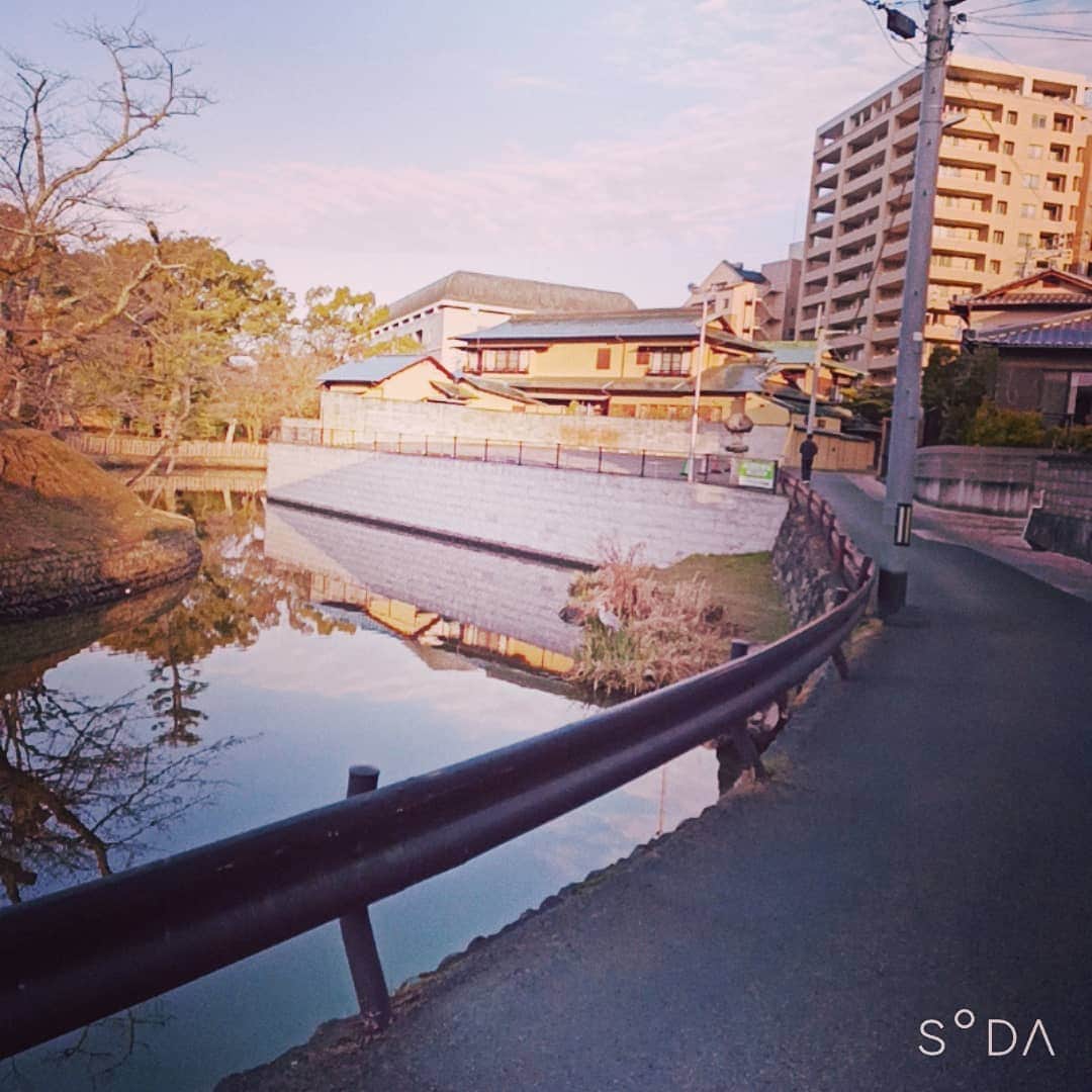 松本隆博のインスタグラム：「。 そして今日は飛びタロウに 会えた(*Ü*)！！！！ そぅ…っと邪魔せず写真だけ …… そして飛び立った('∀`)´-`）。」