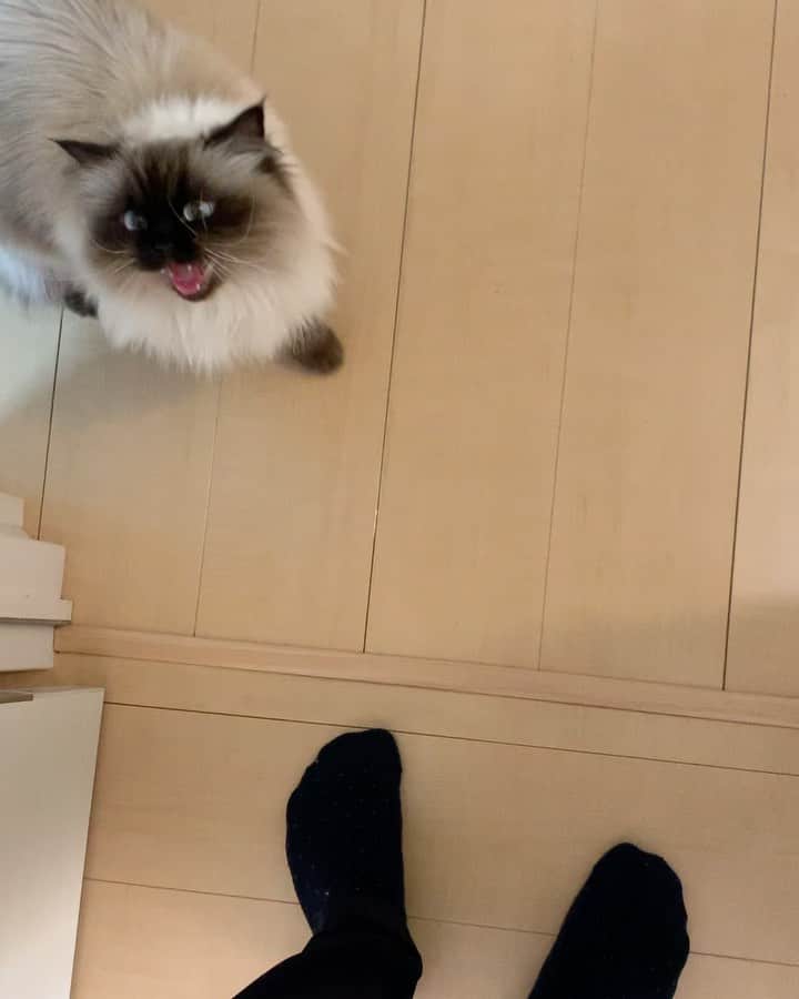plumeのインスタグラム