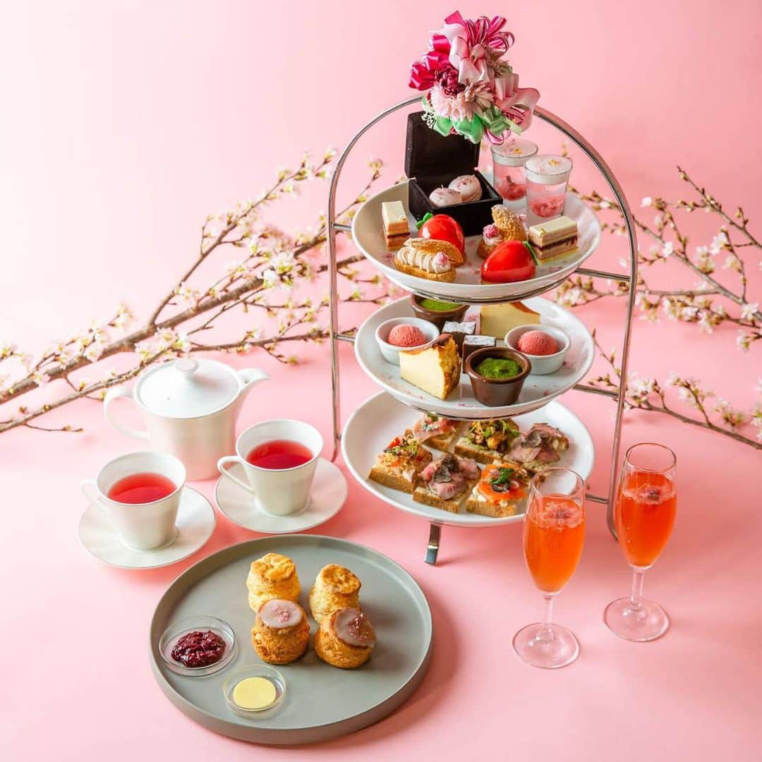 ステラートのグルメインスタ