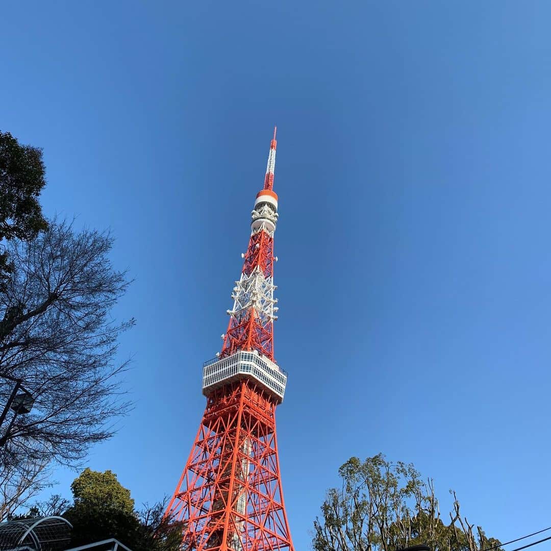 福井晶一さんのインスタグラム写真 - (福井晶一Instagram)「おはようございます！ 天気がいいぞー☀️  俺にとって東京タワーはいつだってエナジーもらえる場所🗼 今日も良い日になりそうだ！  マチネは12時、ソワレは17時開演に変更になってますのでお間違えなく。 キャスト、スタッフ一同心よりお待ちしております🌹  #ポーの一族 #国際フォーラムc #マチソワ #12時17時 #東京タワー #パワースポット」2月6日 9時53分 - shoichi.fukui