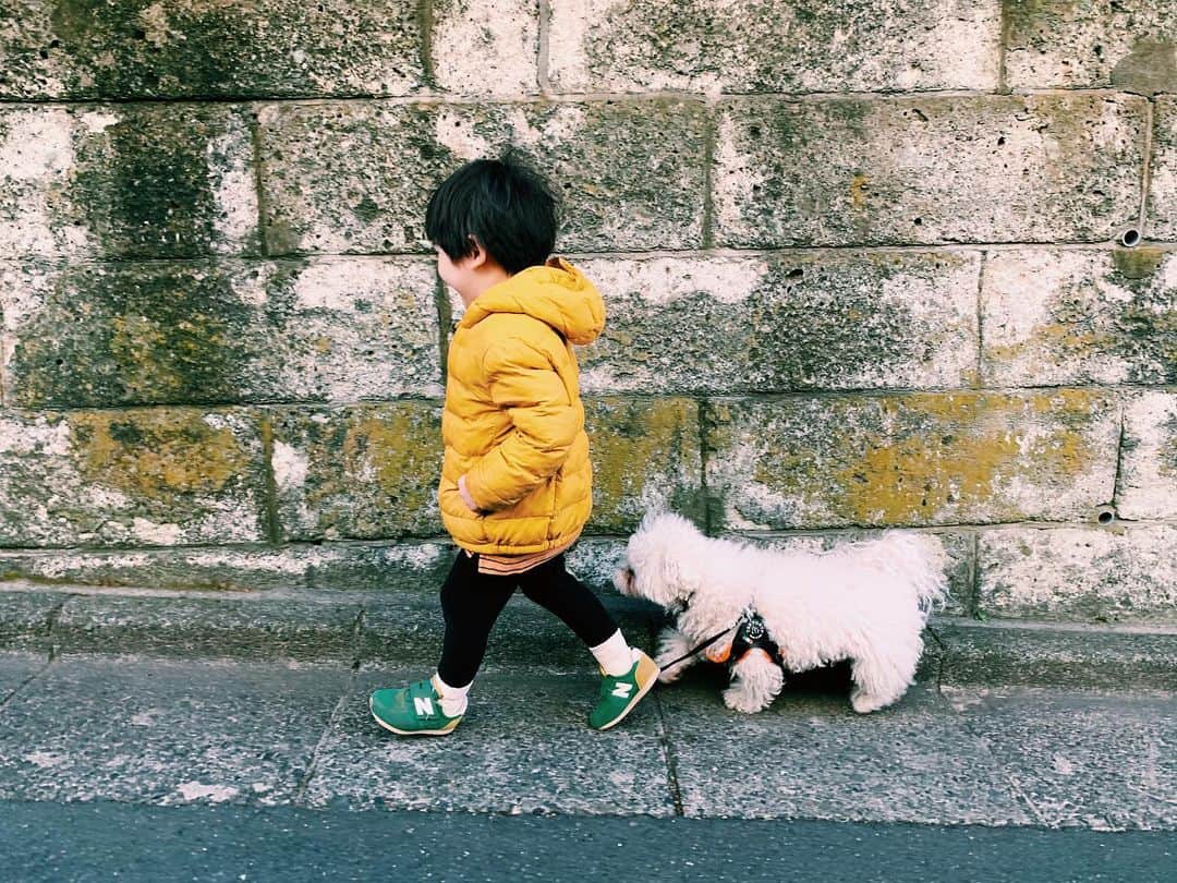 安田美沙子さんのインスタグラム写真 - (安田美沙子Instagram)「今朝はちびっ子が散歩してくれました。はんなも嬉しそう❤️ . . ママ「とりのふんに気を付けてね！」ちびっ子「おにのふん？」笑 朝から笑顔にさせてもらったよ😊✨ ママが家を出るときは、必ずタッチ、チュー、ギューが恒例。愛おしい。。。 . . . #朝散歩　#はんな　#トリミングは明日　#モシャモシャ #散歩好き　#14歳」2月6日 10時03分 - yasuda_misako