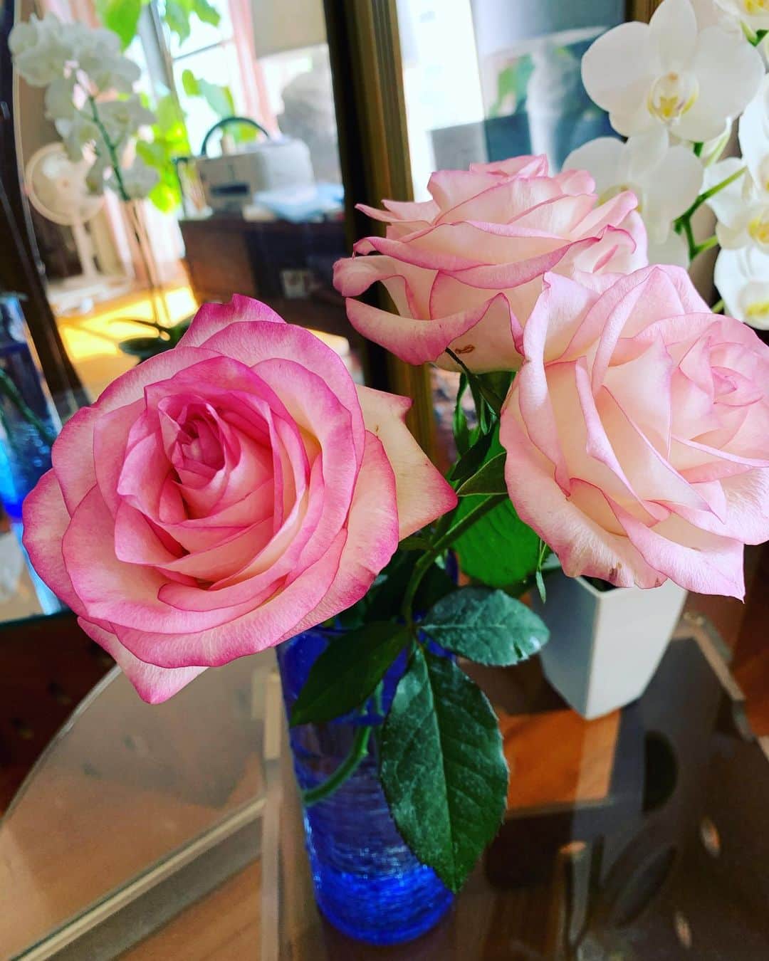 宮城麻里子さんのインスタグラム写真 - (宮城麻里子Instagram)「#3週間目の薔薇 ‼️ 未だ美しく咲いています。 驚き。 #沖縄県産バラ #floriabell」2月6日 10時05分 - miyagimariko