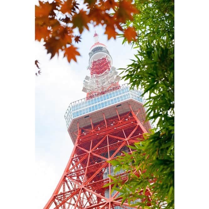 東京タワーの麓の結婚式さんのインスタグラム写真 - (東京タワーの麓の結婚式Instagram)「🗼 竹の葉🌿やもみじ🍁の隙間から見える東京タワー🗼✨  エントランスから見ることができるこの景色は 結婚式当日お越しいただいたゲスト様の目に映り👀 一番はじめのサプライズ演出にもなります💕  ゲストの皆様と過ごす大切な一日の始まりを 記憶に残る景色から･･･🤗🍀  詳細は(@theplaceoftokyo )まで♡  #theplaceoftokyo #プレイスオブトウキョウ #プレイスオブトーキョー #プレイスオブ東京 #ザプレイスオブトーキョー #ザプレイスオブ東京 #ザプレイスオブトーキョー #ゲストハウス婚 #令和2年婚 #東京タワー #東京タワーが好き #tokyotower #tokyowedding #東京タワーが見える #2021婚 #2021wedding #2021夏婚 #2021秋婚 #2021冬婚 #結婚式準備 #結婚式  #ちーむ2021 #東京花嫁 #プレ花嫁準備 #ぷれ花嫁 #プレ花嫁 #サプライズ演出 #大切な1日 #景色」2月6日 10時34分 - theplaceoftokyo