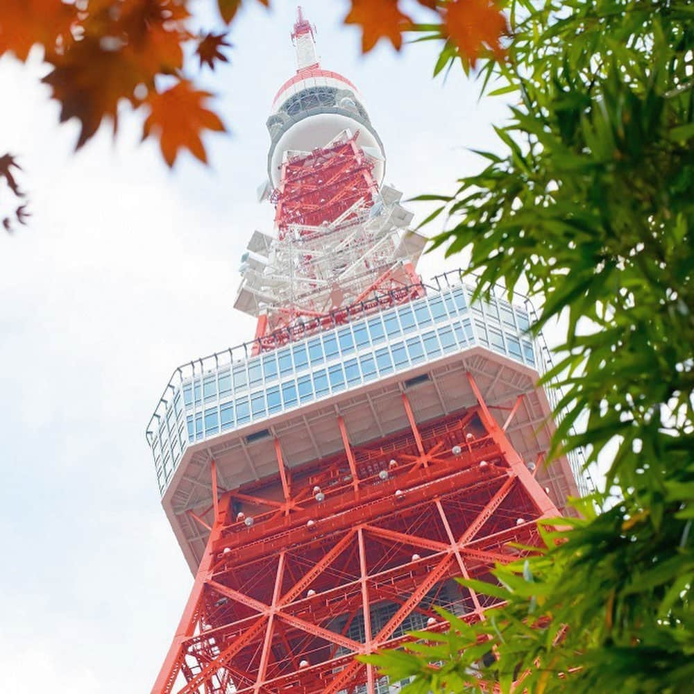 東京タワーの麓の結婚式のインスタグラム