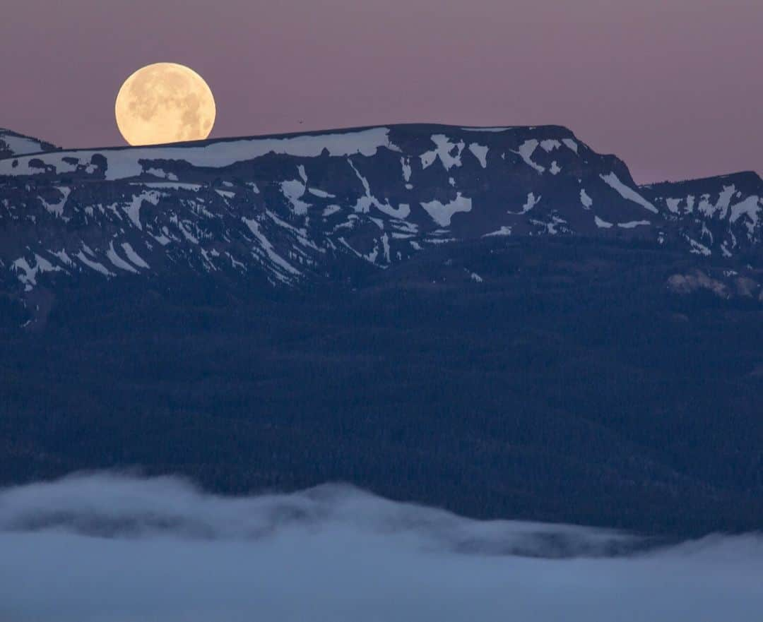 アメリカ内務省さんのインスタグラム写真 - (アメリカ内務省Instagram)「The 28,000 acre Centennial Mountains #Wilderness Study Area forms the boundary between southwest #Montana and #Idaho and is some of Montana’s wildest country. Aside from being a recreation paradise, the area is a critical corridor for #wildlife including grizzly bears, wolves, moose, elk, deer, wolverines, badgers, black bears, and a wide variety of birds. Photo by Bob Wick, Bureau of Land Management (@MyPublicLands). #usinterior #PublicLands」2月6日 10時37分 - usinterior