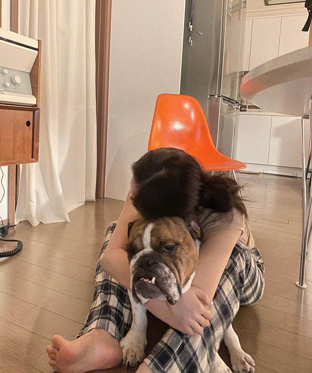 キム・ドヨンさんのインスタグラム写真 - (キム・ドヨンInstagram)「카미랑 이오랑 친구하자 마구야❤️🐶」2月6日 11時08分 - dodo_baby