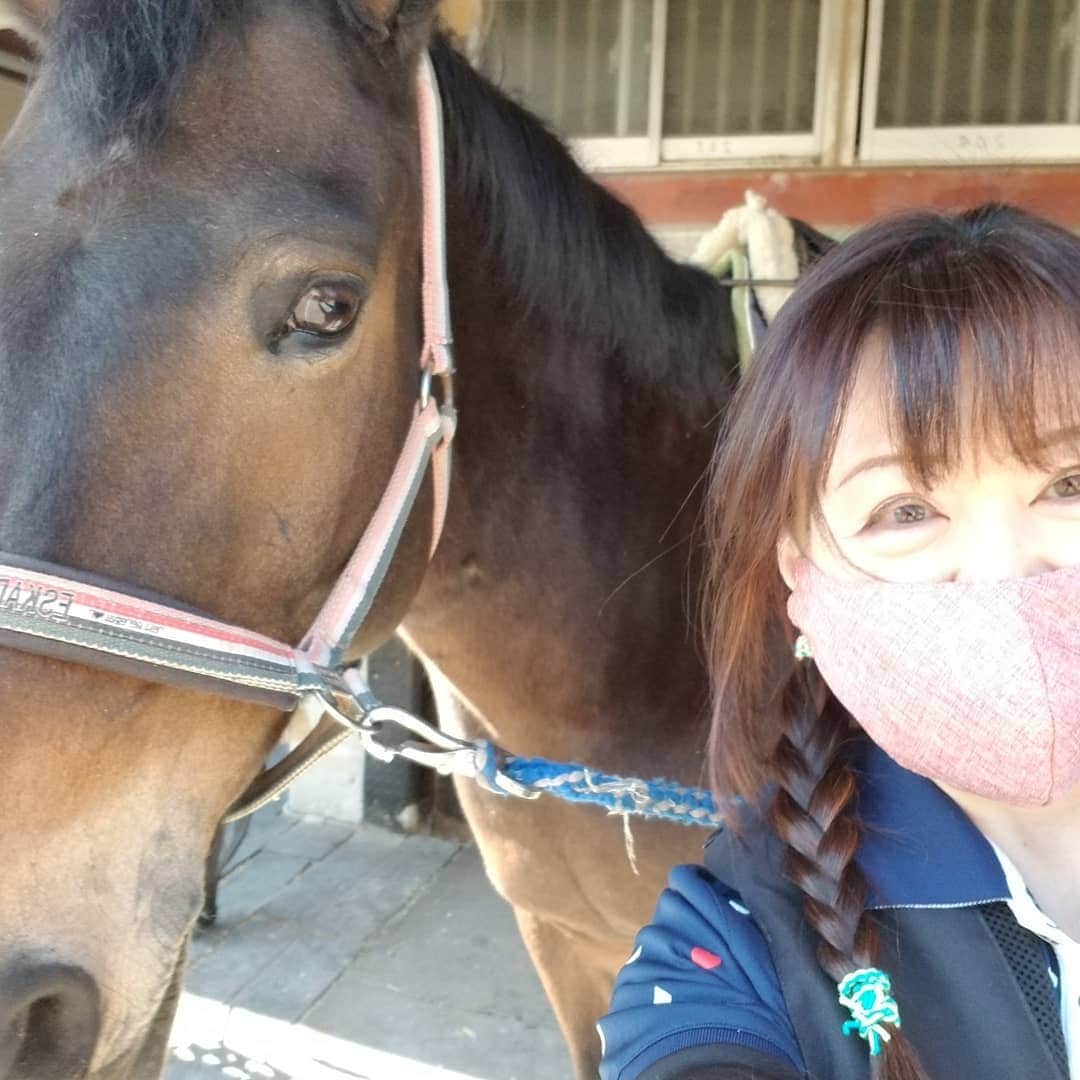 のインスタグラム：「水曜日の相棒は、久しぶりの　どんちゃん。い色々なことができて、めっちゃ楽しかった❤️ アイドル🐴なので、キメラ目線と笑顔可愛いね」