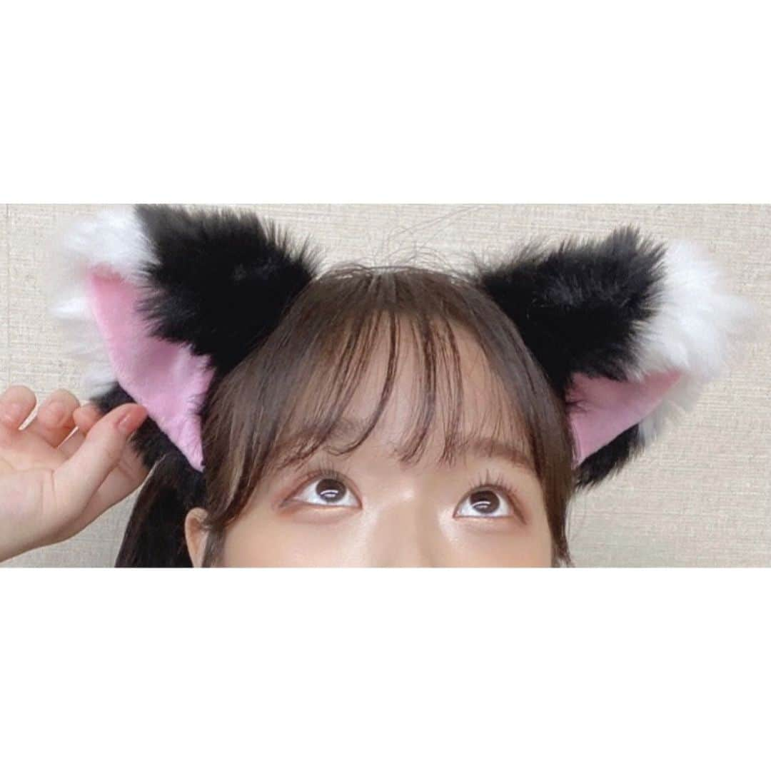 諸橋姫向さんのインスタグラム写真 - (諸橋姫向Instagram)「にゃん🐱 #猫#諸橋姫向#やひこ#followme #팔로미#좋아요#오오티디」2月6日 22時00分 - hinata_48_yahi5