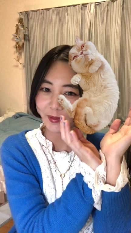木村仁美のインスタグラム：「久しぶりにインスタライブをしました❁ ゆるりとお話ししてます◎  🥂好きなお酒のことややりたい事 🎥YouTubeチャンネルについて 🕊お知らせのお知らせ  などなど…  是非見逃した方は、ゆるりと再生してみてくださいね。 またお会いしましょう☺️」