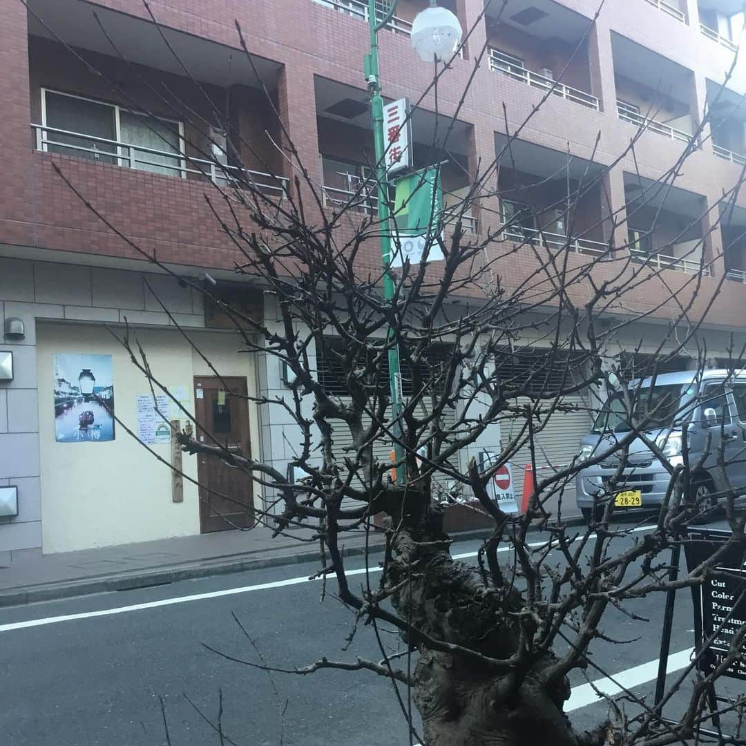 新宿寅箱のインスタグラム