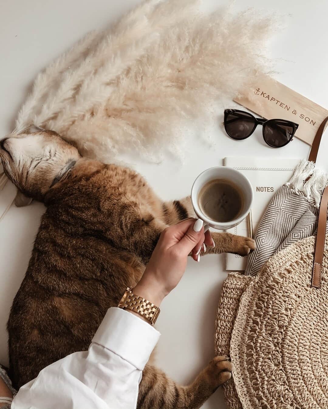 Kapten & Sonさんのインスタグラム写真 - (Kapten & SonInstagram)「'No good morning without coffee and cuddles.' ✨ Happy Weekend, Kaptens! @mellanie.fernandez enjoying cozy Saturdays at home. 💛 #bekapten #kaptenandson⁠ .⁠ .⁠ .⁠ #sunglasses #coffee #morning #cat #love #watch #chrono #home #style #fashion」2月6日 15時30分 - kaptenandson