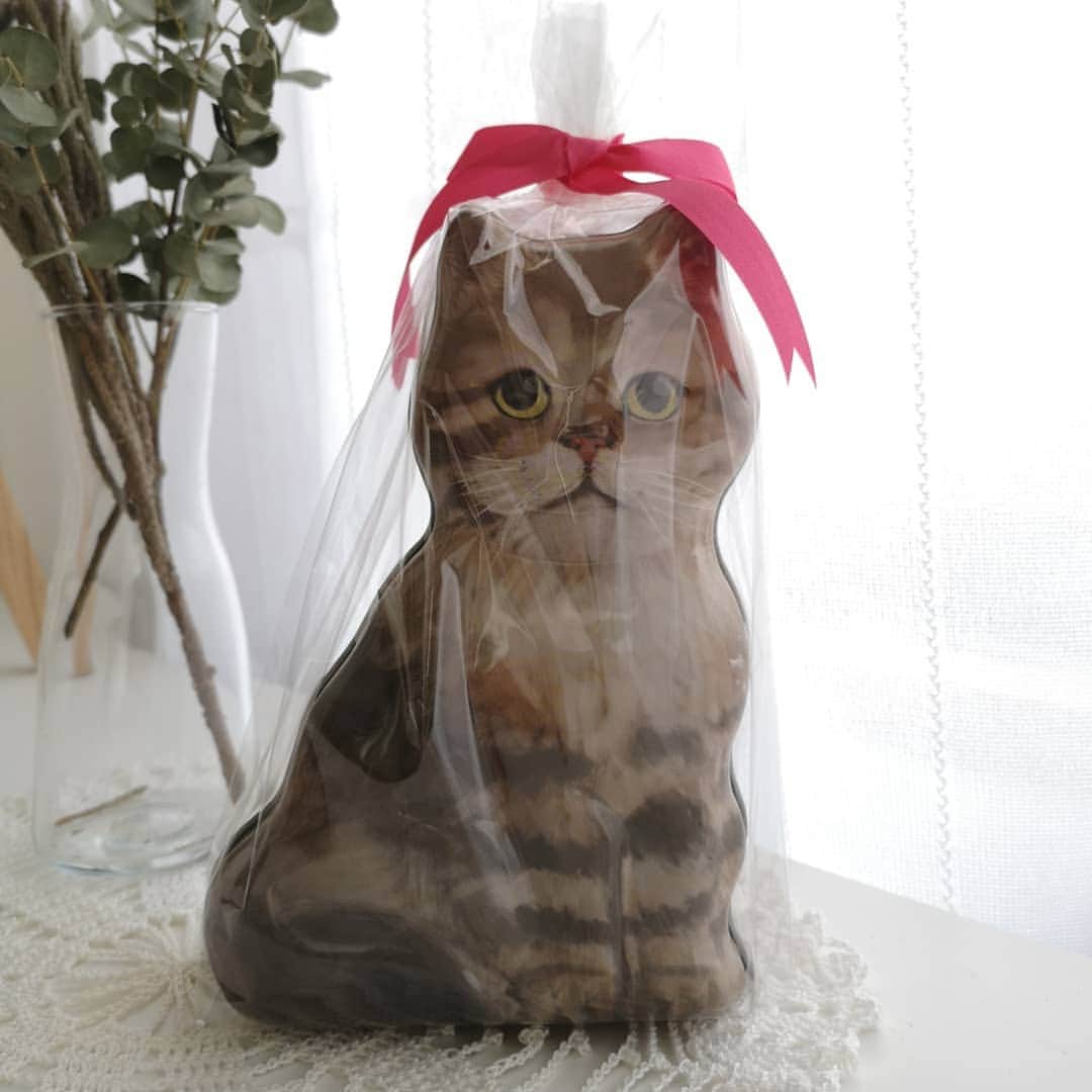 寅次郎（とらちゃん）さんのインスタグラム写真 - (寅次郎（とらちゃん）Instagram)「☆ Happy caturday🐈🐈💓 . 僕の息子を紹介するにゃ😽💓 . #一目惚れで購入 #ブログもみてね . . #cat #cute #meow #貓 #ねこ #エキゾチックショートヘア #無敵の親バカ同盟 #猫のいる暮らし #にゃんすたぐらむ #ペコねこ部 #ねことの暮らし #お菓子 #缶好き」2月6日 15時43分 - torachanthecat