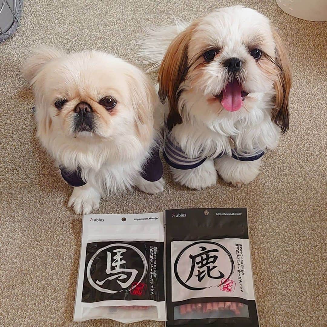 Kukkaのインスタグラム：「かいぬしのことかな？😑😛」