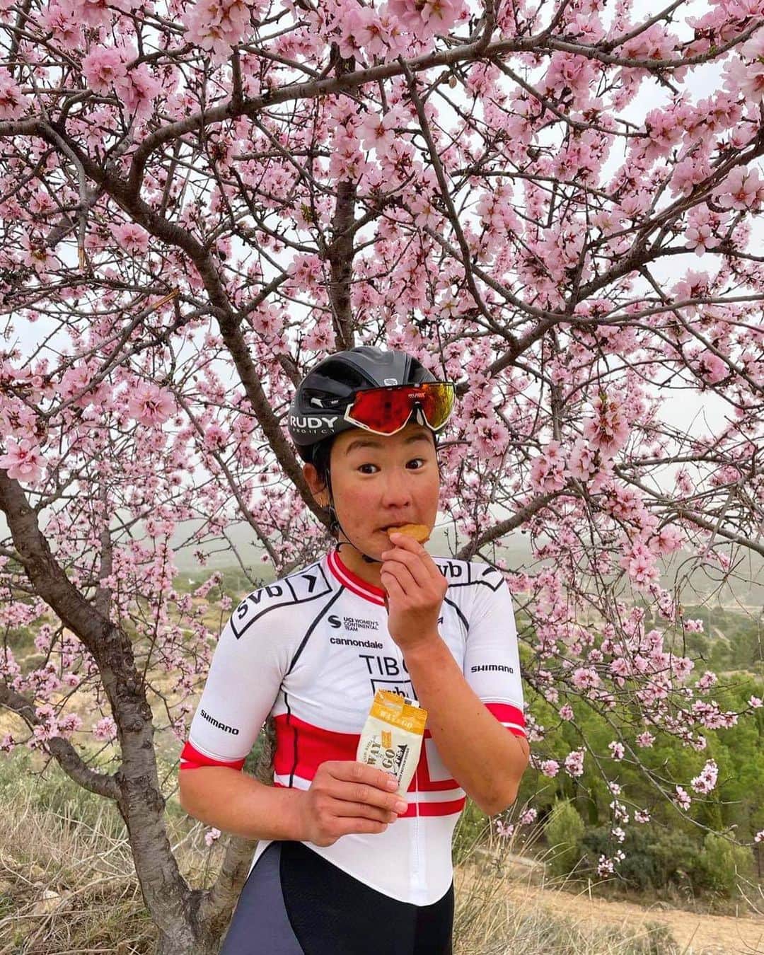 與那嶺恵理さんのインスタグラム写真 - (與那嶺恵理Instagram)「FEED🍪first, FLOWER🌸second 😜 . . It’s me just after training session 😜 eating protein cookies 🍪 @atarimaeda.cracker 😋 #hanayoridango #花より団子　 . . These days, blooming Almond flowers looks like #sakura 🌸here. enjoyed to see these pretty flowers 🌸#hanami #お花見　 . . #今日のエリさん　#teamtibcosiliconvalleybank #rudyproject #rideshimano #ridecannondale #cannondalewomen #supersixevo #volerapparel」2月6日 15時58分 - eriyonamine