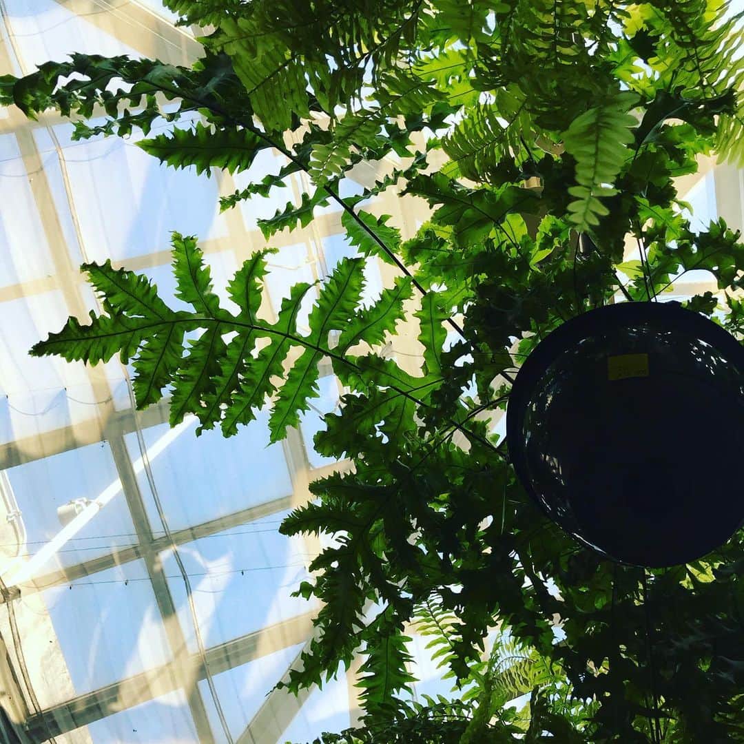 福田葉子のグルメインスタ