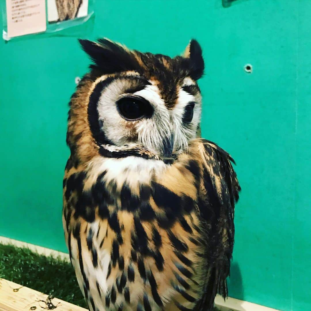 橋本大地のグルメインスタ