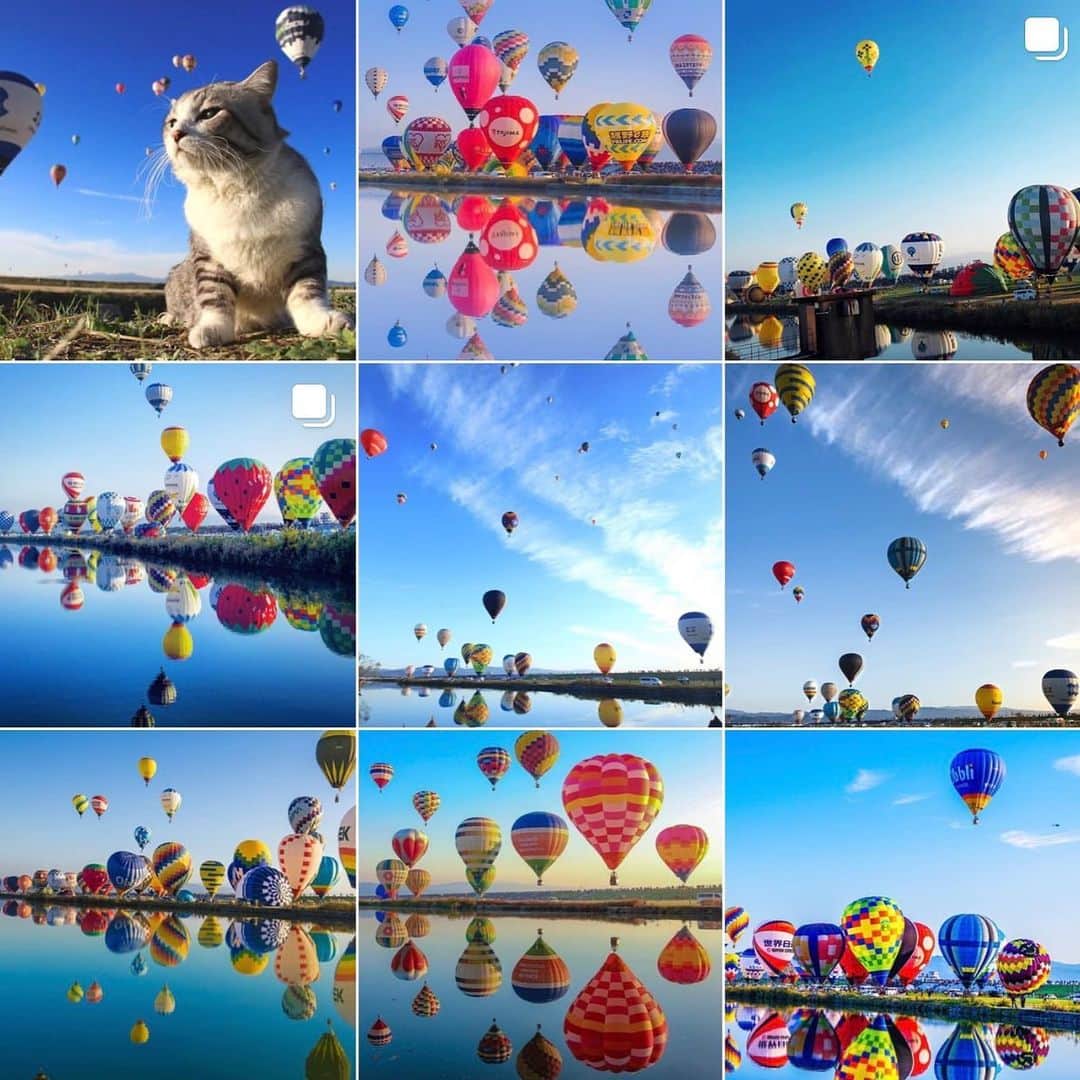 Nyankichi Noranekoさんのインスタグラム写真 - (Nyankichi NoranekoInstagram)「佐賀と言えば、佐賀インターナショナルバルーンフェスタ🎈😸  いつか、気球に乗って太平洋を横断してみたいにゃり🎈😸  有朝一日想試一下乘坐熱氣球橫渡太平洋喵哩🎈😸  Someday I wanna try to cross the Pacific Ocean by sitting in a hot-air balloon meow 🎈 😸  #猫 #cat #고양이 #แมว #貓 #кошка #wats #chat #ニャンスタグラム #gato #catsofinstagram #ねこ部 #旅猫 #cats #aso #japan #猫写真 #ねこ #seekor #ネコ #kitty #catlover #パトロール #kucing #kucinglucu #バルーン #気球 #佐賀バルーンフェスタ #佐賀 #saga」2月6日 16時37分 - noraneko_nyankichi