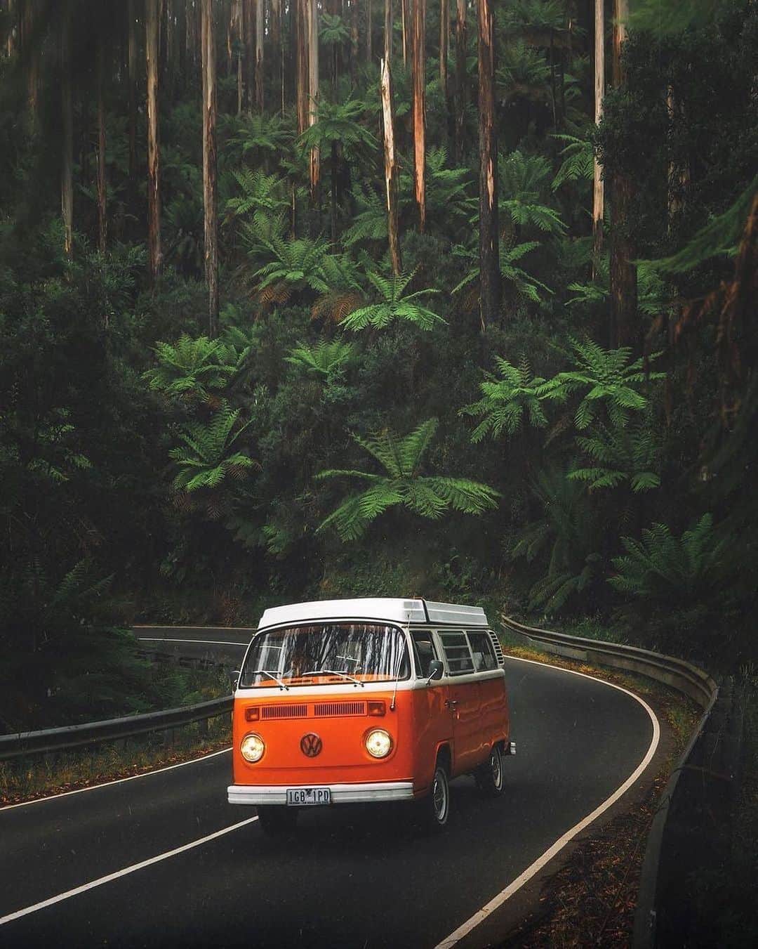 Canon Photographyのインスタグラム：「Tag your roadtrip buddy ♥️ Photography // @karl_shakur Curated by @steffeneisenacher  #blackspur #visitmelbourne #australia #seeaustralia #tropicalrainforest」
