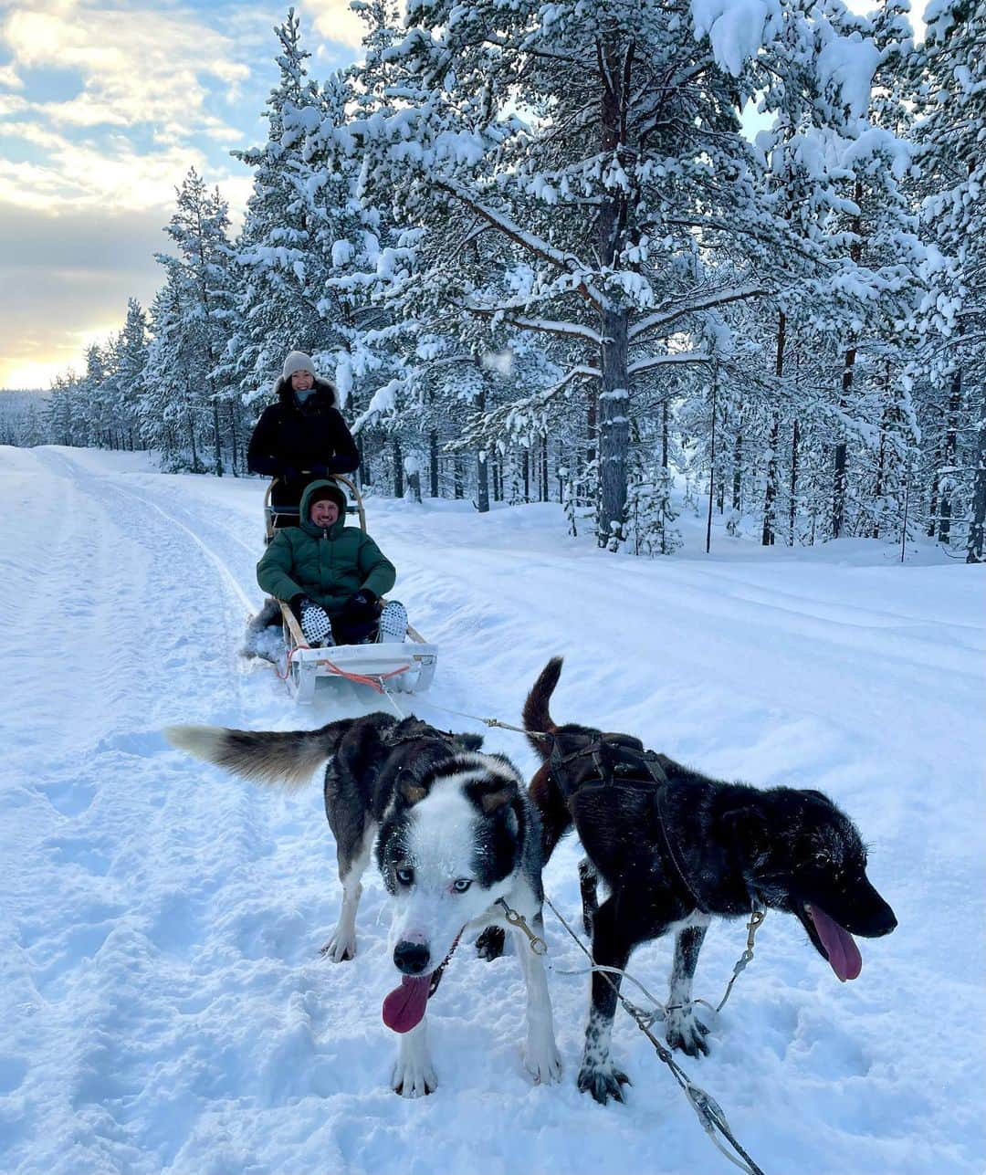 ラウラ・レピストさんのインスタグラム写真 - (ラウラ・レピストInstagram)「Ekan etätyöpäivän lounastauko.🤍❄️ Tyypit oli vähän innoissaan kun sai asiakkaita vedettäväkseen. Toivottavasti ens talvi on taas helpompi näille paikallisille yrittäjille, jotka tekee tätä työtä sydämestään elämäntapana! Kiitti @extreme_huskies ja koirulit, teissä on intoa ja voimaa kun pienessä kylässä.🤩 . . . . . #huskyajelu #extremehuskies #ivalo #auroravillage #lappi #finnishlapland #visitfinland #visitlapland #ourfinland」2月6日 17時15分 - lauralepisto