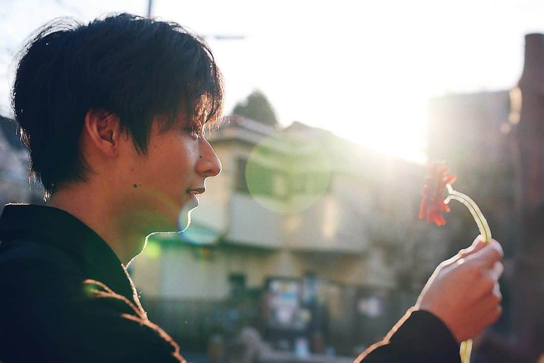 安藤祐輝のインスタグラム：「ガーベラ🌷」