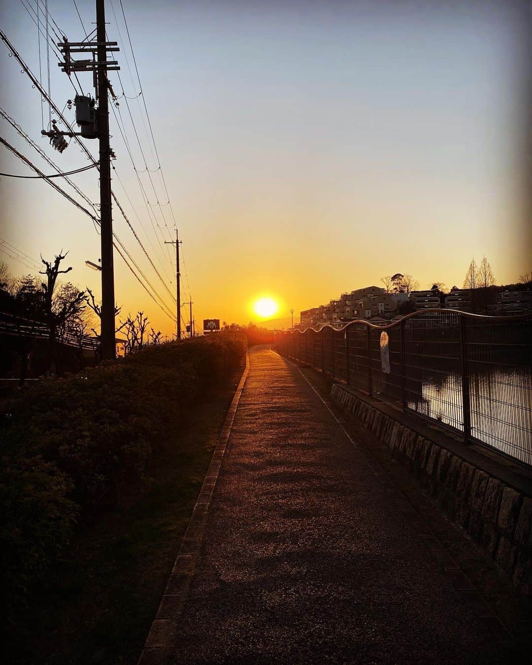 西川忠志さんのインスタグラム写真 - (西川忠志Instagram)「夕暮れの道  歩いていた道の先に もうすぐ沈む太陽が 道を照らしてくれていました。  吉本新喜劇 西川忠志 感謝」2月6日 17時26分 - nishikawa_tada