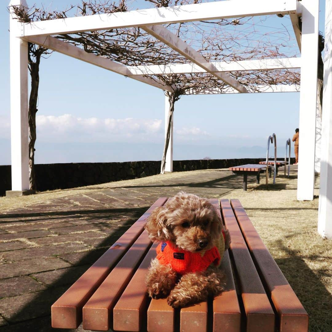 荒生暁子さんのインスタグラム写真 - (荒生暁子Instagram)「「恋人の聖地」らしい❤️ とにかく絶景✨🌊 私のカメラ技術では伝わりにくい😭  #長崎#長崎絶景スポット #長崎旅行  #大村湾#恋人の聖地#一眼レフ初心者  #パコちゃん」2月6日 17時57分 - akikoarao0904