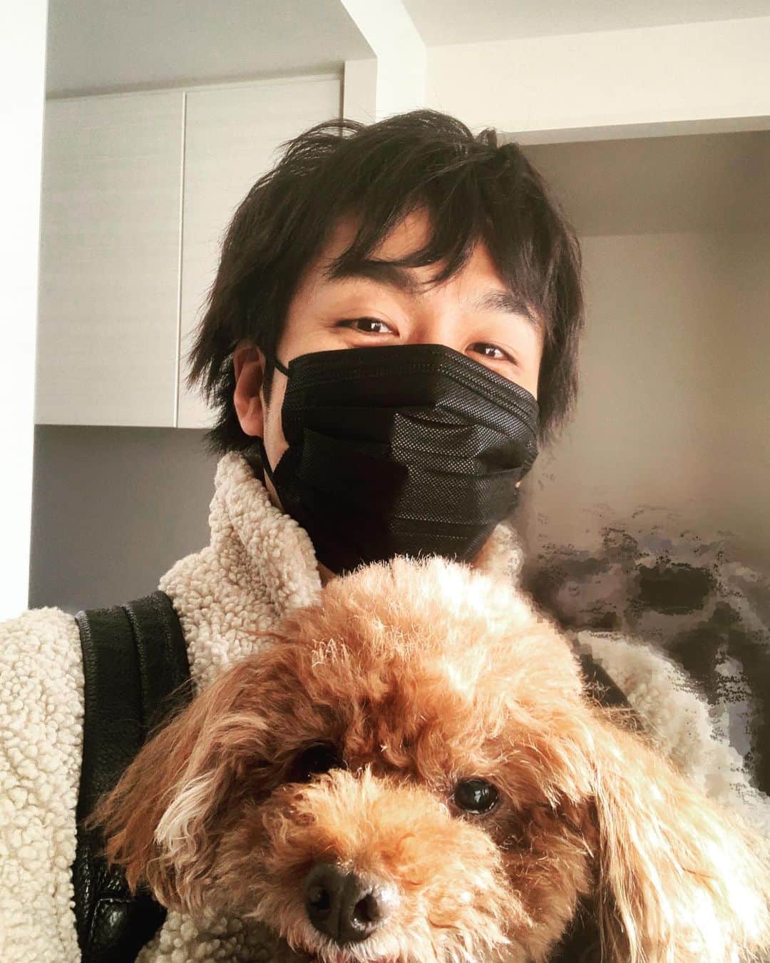 のインスタグラム：「自撮り🤳 いつもそばに居てくれて ありがとう * #藤澤ノリマサ  #fujisawanorimasa  #norimasafujisawa  #popopera #poodle  #toypoodle  #love  *」