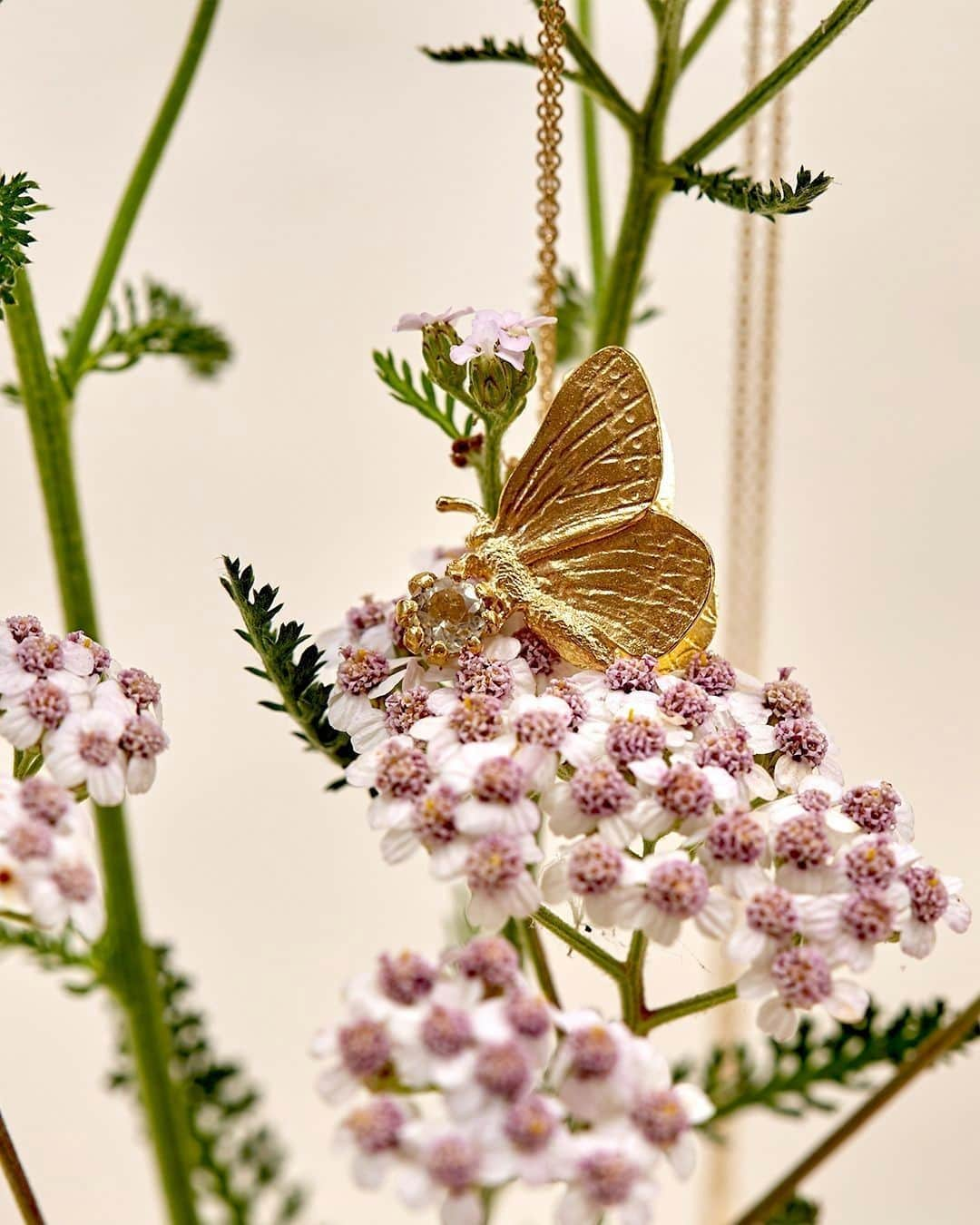 アレックスモンローさんのインスタグラム写真 - (アレックスモンローInstagram)「Dreams of butterflies fluttering in spring...🦋 🌸 ⠀ ⠀ A feature of England in springtime, a Duke of Burgundy Butterfly clutches a sparkling green amethyst in our beautiful pendant necklace.💎✨ Product Link in Shot 🔗⠀ ⠀ #AlexMonroe #HandmadeinEngland #InspiredbyNature #EthicallyMade #Handmade #ButterflyNecklace #ButterflyJewelry」2月6日 18時41分 - alexmonroejewellery