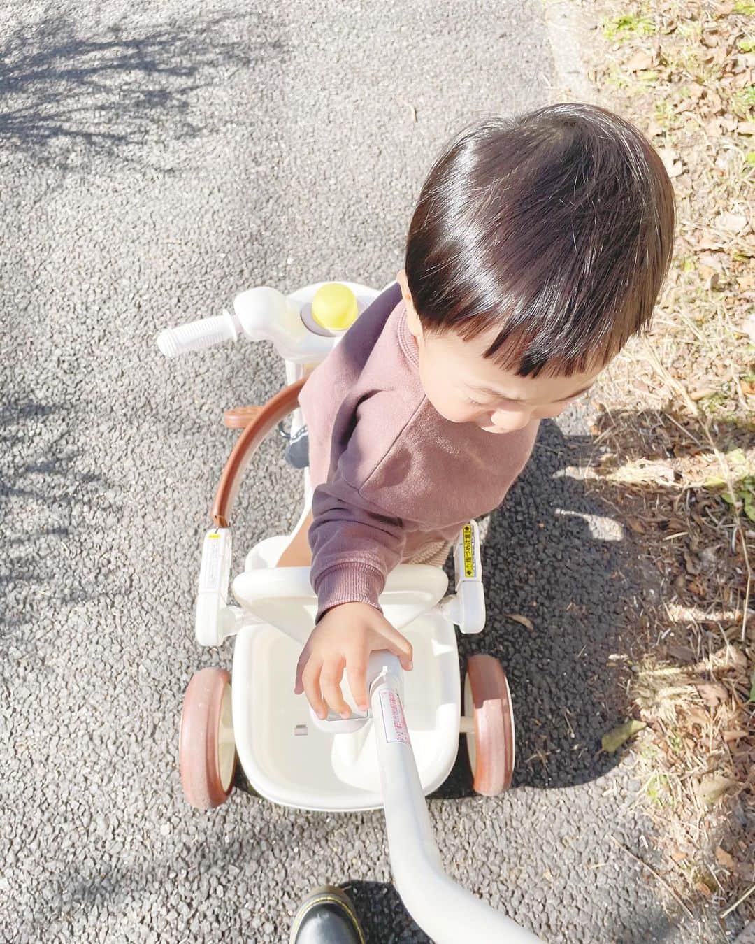 NikawaAsuka さんのインスタグラム写真 - (NikawaAsuka Instagram)「まだまだ風邪引きさんだから暖かい時間に少しだけお散歩👶（降りたがってる） #赤ちゃん #男の子 #1歳 #1歳2ヶ月 #お散歩 #三輪車」2月6日 18時59分 - 19890808a