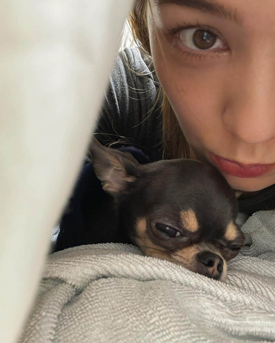ステファニーのインスタグラム：「🐕🤝💖 My sweetie.」