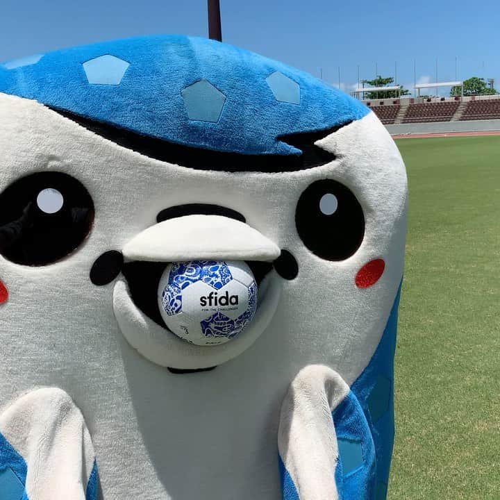 Fc琉球さんのインスタグラム動画 Fc琉球instagram マスコット総選挙21 開催中 マスコット総選挙21 1日1回 本日の投票はお済みでしょうか ぜひ Fc琉球 の ジンベーニョ に投票をお願いします Jinbe Nho 投票方法はこちら Jleague Jp Mascot