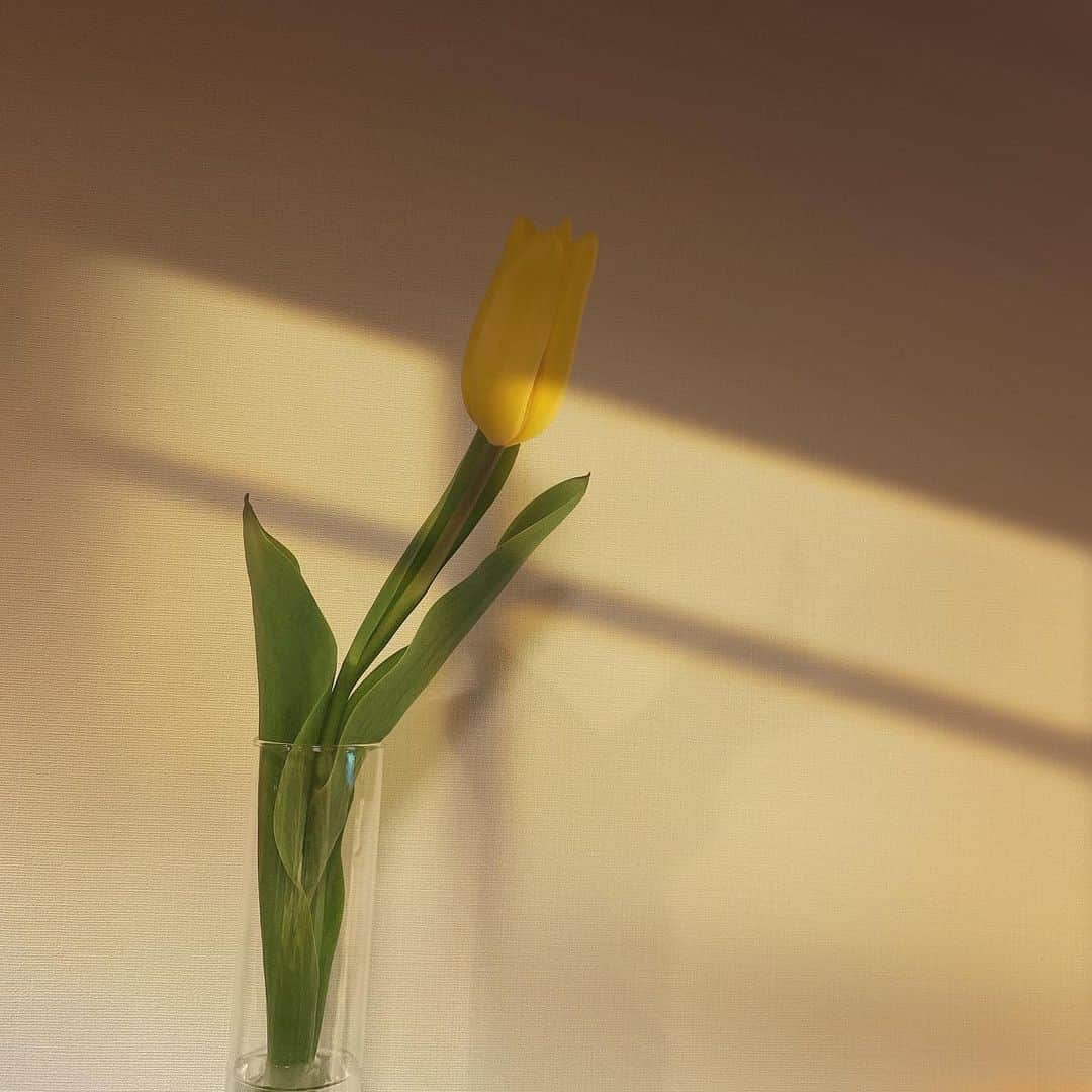 中上真亜子さんのインスタグラム写真 - (中上真亜子Instagram)「🌷  春がきてるね  あたたかいなぁ ふみちゃんにも春が来そうです  YouTubeアップしました お時間ある時に是非🌷」2月6日 19時26分 - maako_nakagami