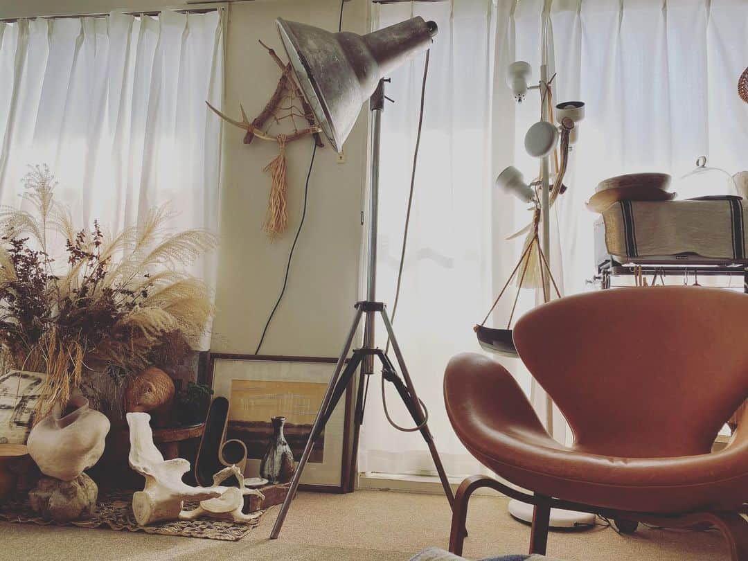 ハミルのグルメインスタ