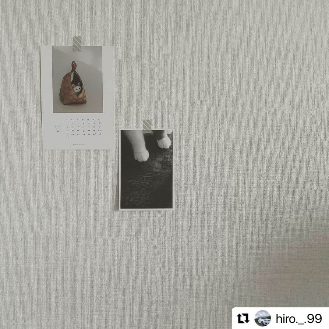 オルネ ド フォイユさんのインスタグラム写真 - (オルネ ド フォイユInstagram)「【#オルネpic コレクション -番外編-】  当店の商品を使ったスタイリング写真を集めていく企画「オルネpic」。  今回は番外編として、ノベルティでお配りしているカレンダーとポストカードの写真を集めてみました。お写真をお借りしたみなさま、ありがとうございます！  @szm.o1 @sio0126 @yukatonecotoheya @kyoko.dale @hosizoranouta @cameraxtrpxhana @hiro._.99  ひと月毎のカレンダーは以前よりオルネの定番ノベルティでしたが、今年からプチリニューアル。  早速たくさんの方に楽しんでいただき、とても嬉しく思います（こちらに載せきれなかった方々のお写真も含め、いつも楽しみに拝見しています🙏）  今年は、“My Favorite Things” をテーマに、毎月異なる写真にメッセージを添えて、ポストカードも一緒にお届けしています。来月以降もどんな写真が届くのか、ぜひお楽しみに！  #オルネノベルティー2021  引き続き#オルネドフォイユ #ornedefeuilles タグを付けた投稿お待ちしております！（コレクションに加えさせて頂く際、DMなどでの事前連絡はいたしかねますのでご了承くださいませ。）  ——————————————— ◯WEBショップに関するお問い合わせ◯ オルネ ド フォイユWEBショップ （午前10時～午後6時／土日祝定休） e-mail：order@orne.co.jp  #カレンダー #カレンダー2021 #2021カレンダー #インテリア #インテリアショップ #インテリア雑貨 #雑貨 #暮らしの道具 #リビングインテリア #海外インテリア #リノベーション #gallery #livstagrammer #暮らしを楽しむ #心地よい暮らし #丁寧な暮らし #ornedefeuilles #オルネドフォイユ #オルネpic #オルネpicコレクション」2月6日 20時00分 - ornedefeuilles