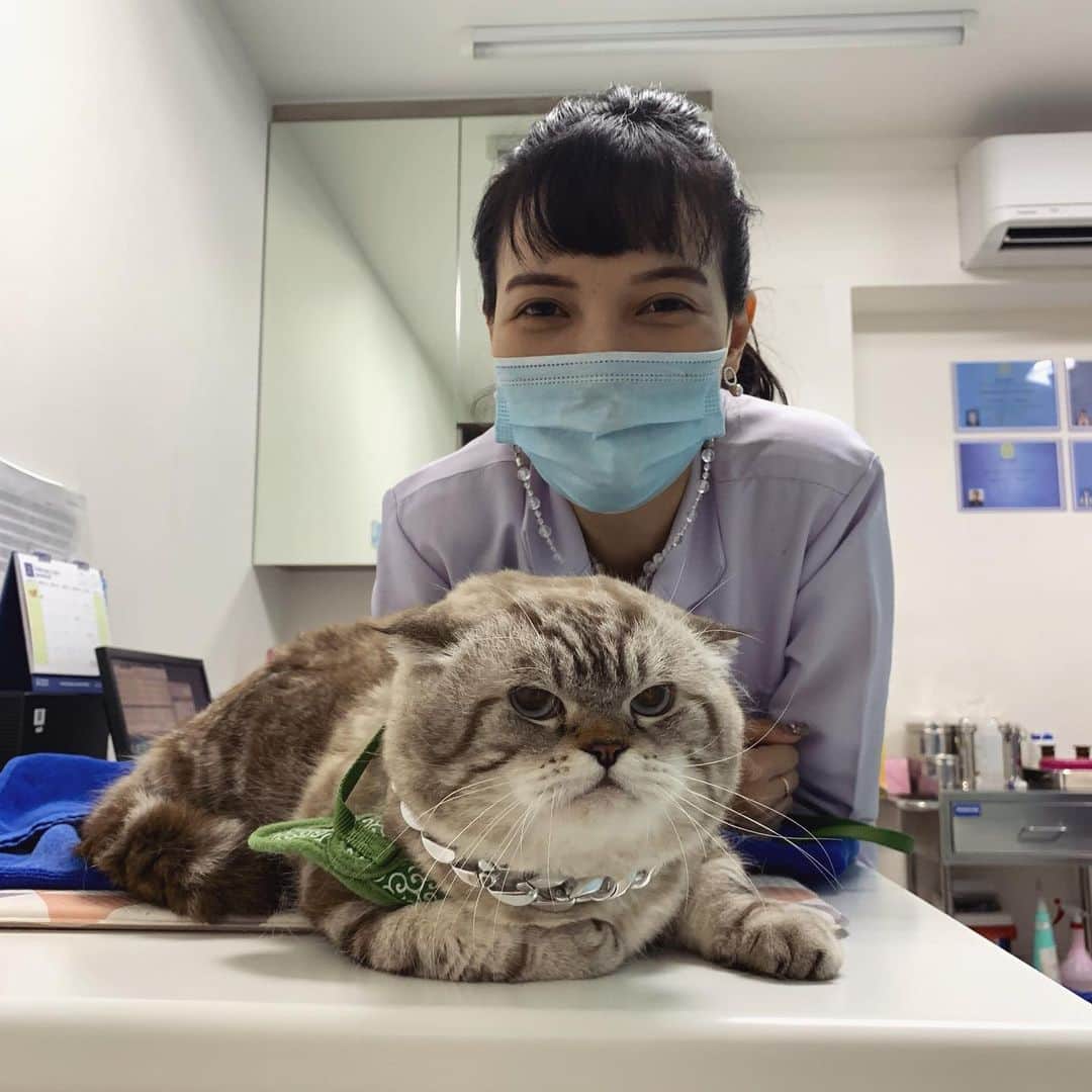 Chepoのインスタグラム：「มาฉีดวัคซีน แล้วก็ตรวจสุขภาพ นี่ถ้าเวลาเหลือว่าจะศัลยกรรมให้หล่อน้อยลงด้วยนะ เบื่อที่จะต้องกินยาลดความหล่อทุกวัน」